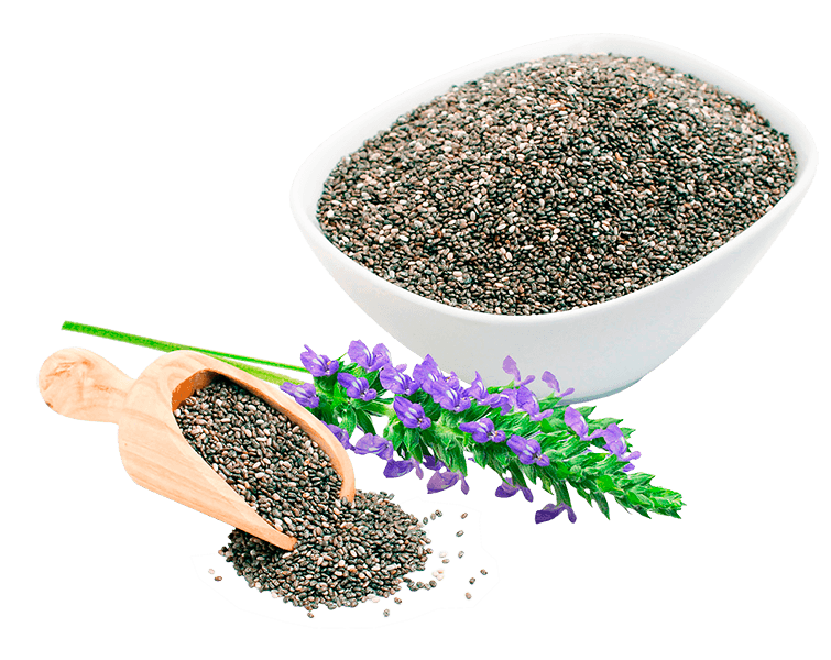 Chia Seeds