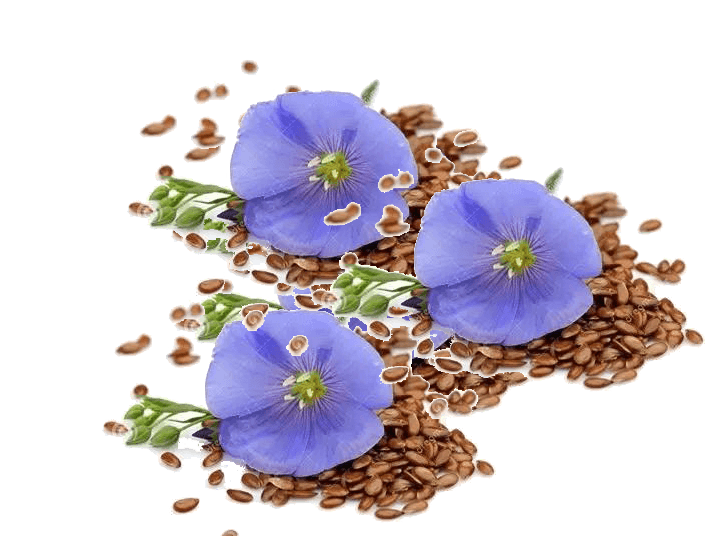 Flaxseeds