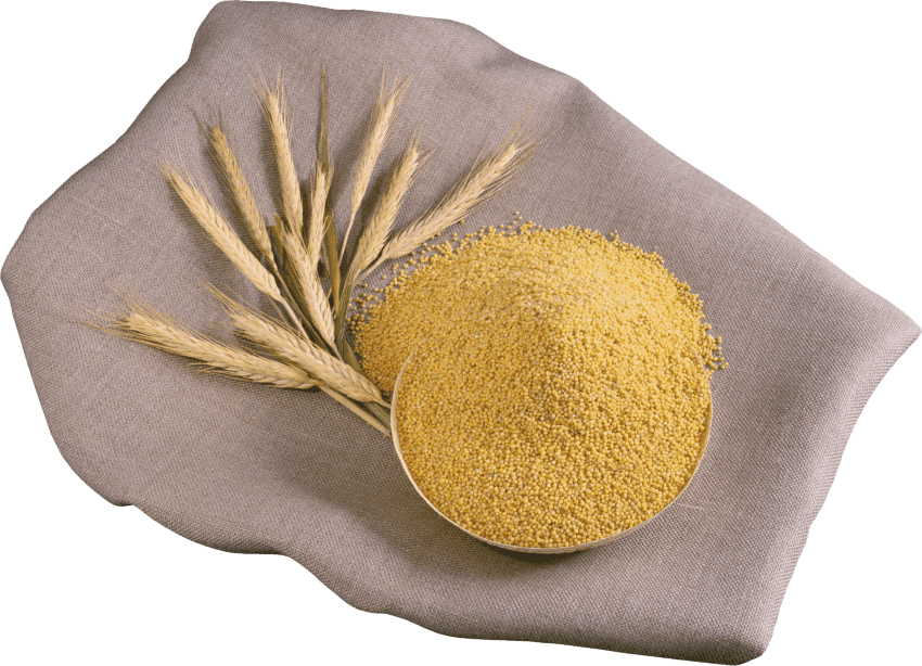 Foxtail Millet