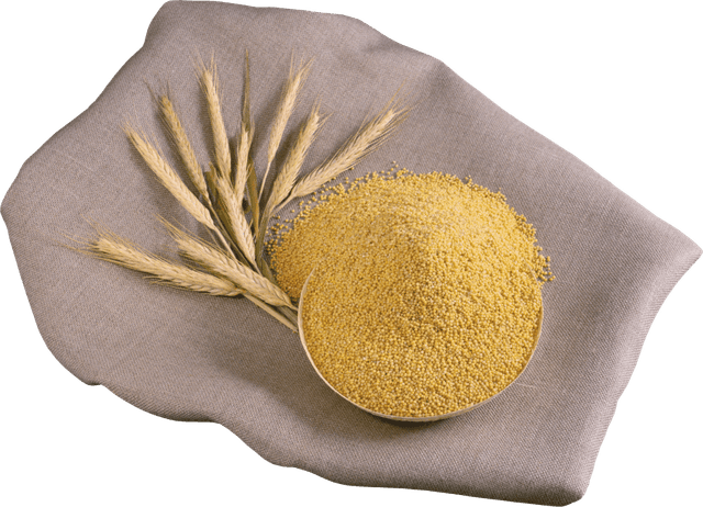 Foxtail Millet