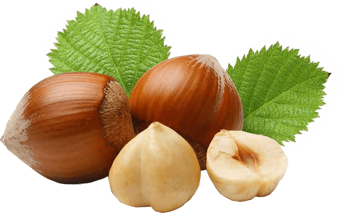 Hazelnuts