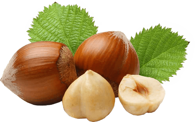 Hazelnuts