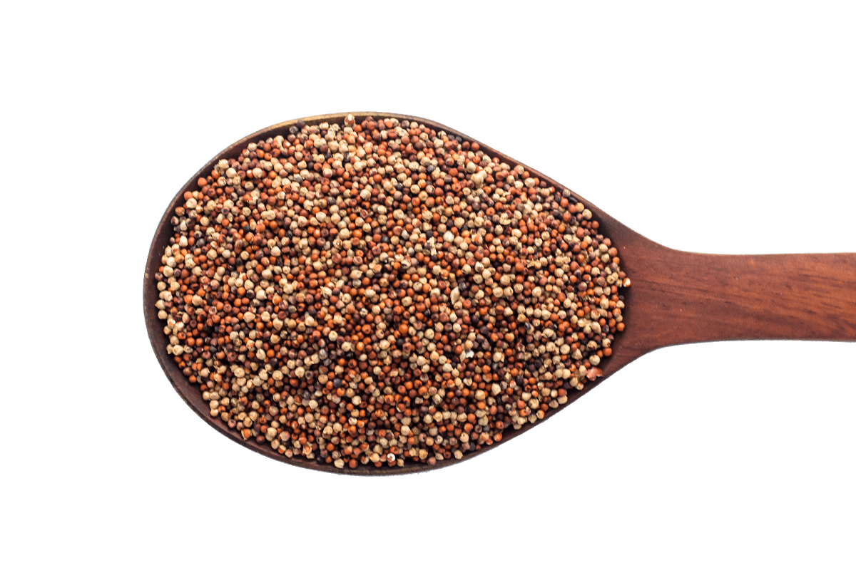 Finger Millet