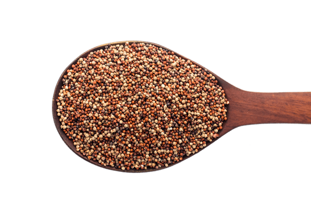 Finger Millet